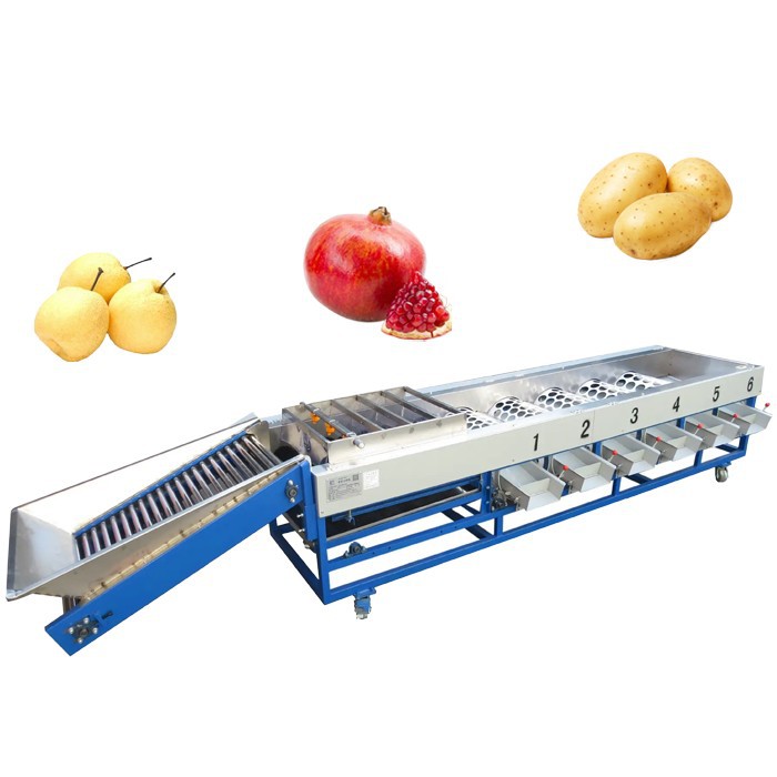 sorting grading machine 1